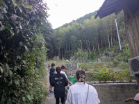 PXL_20251017_230901397