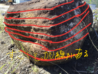 6年_理科_村上　嘉生_2025年7月15日のノート