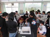 IMG_7033
